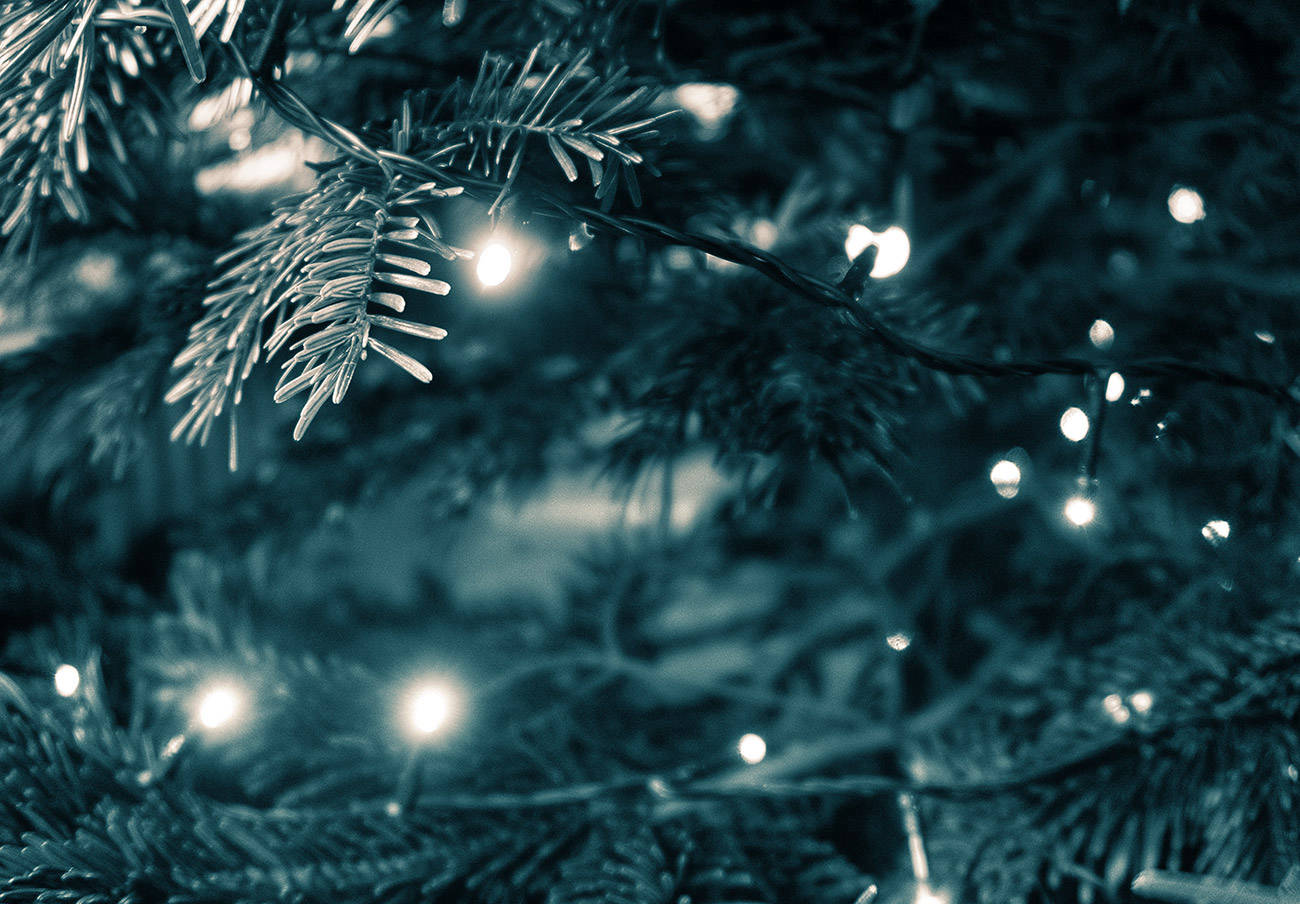 christmas tree and lights