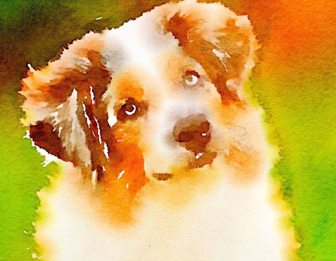 Dog in watercolours