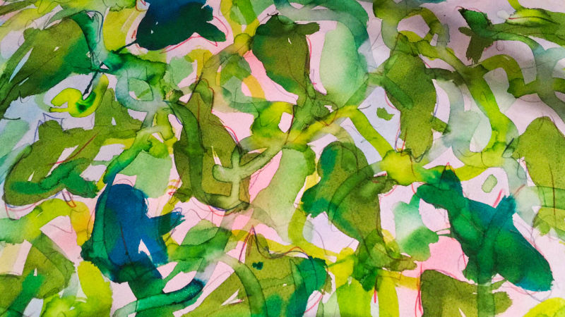 Koi Fish in Dr. Ph. Martin inks which bright colour inks on watercolour inks