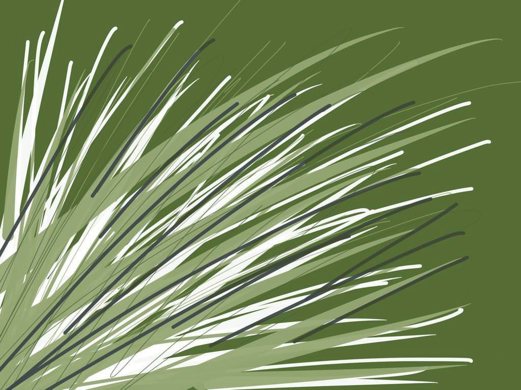 Green grass stripes