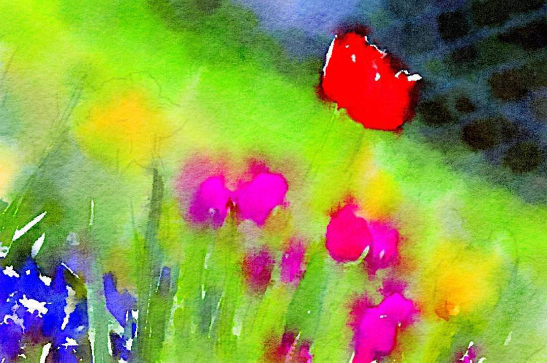 Spring Flowers