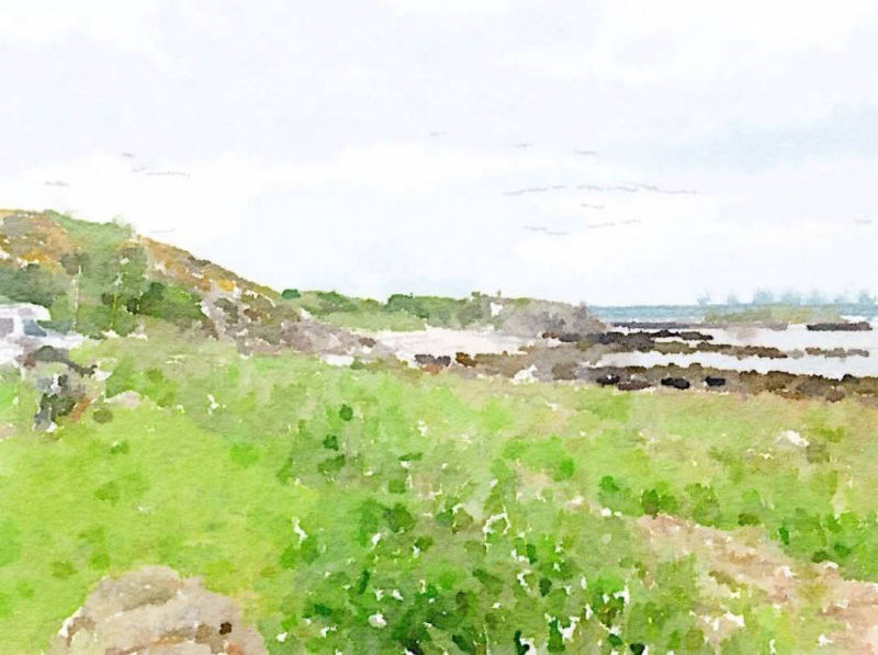 Mossyard watercolour