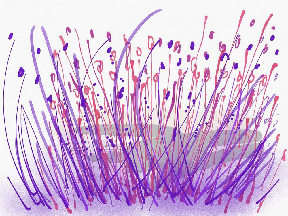 Purple Saturday Flowers