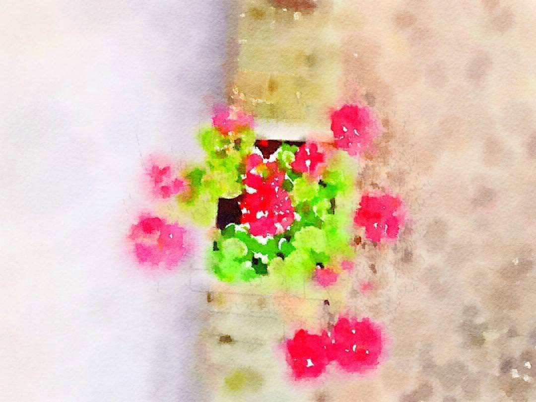 red green flower pot