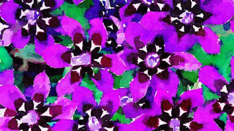 South Africa flowers in watercolours