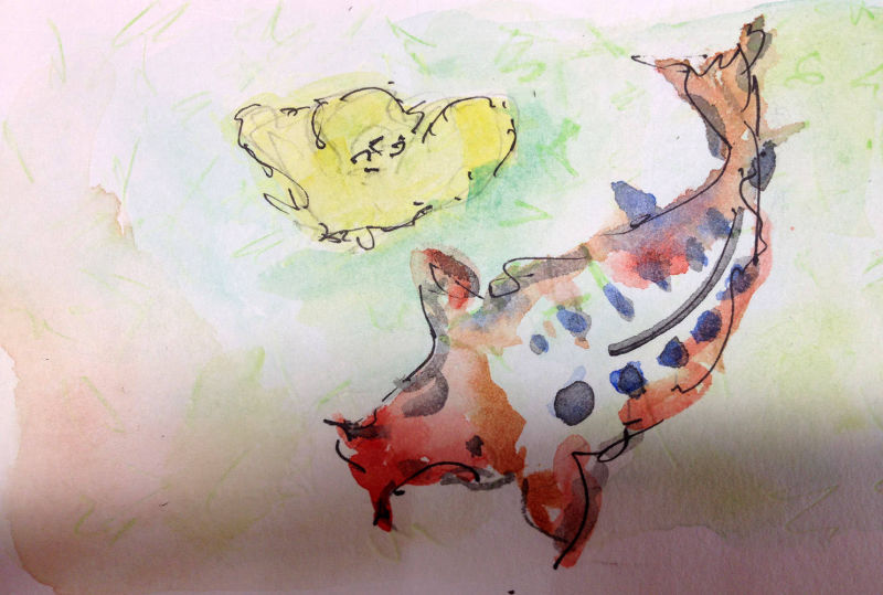 Watercolour Kio