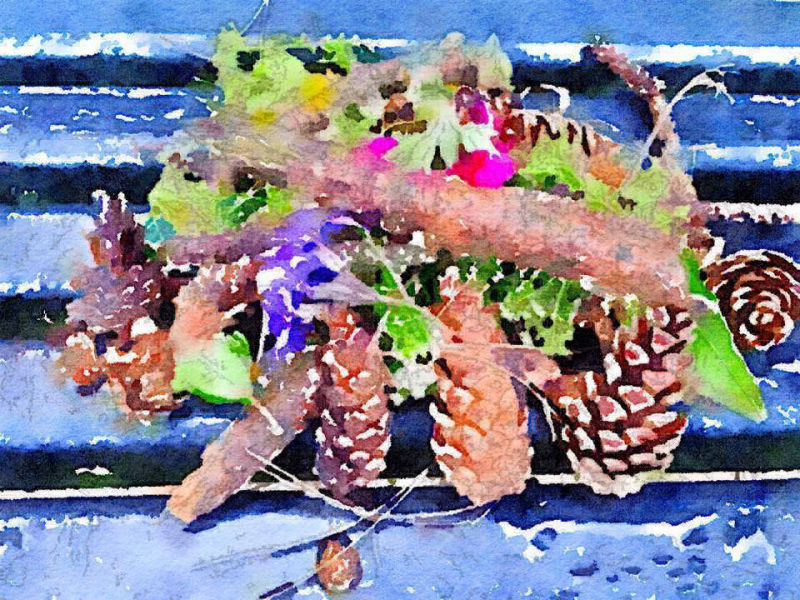 Winter collection in watercolours