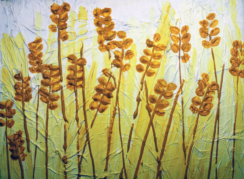 Yellow wheat